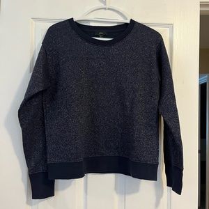 JCrew shimmery navy sweatshirt